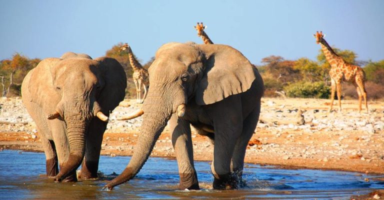 Etosha Camping-Safari