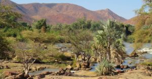 Nordnamibia-Safari