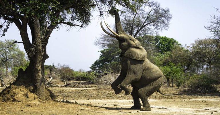 Nordnamibia-Safari