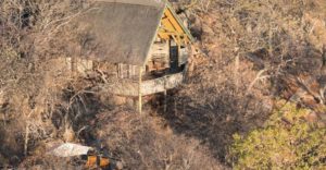 Ongava Lodge