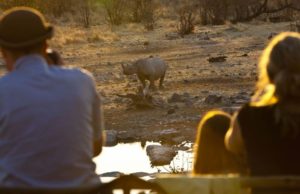 Halali Camp in Etosha
