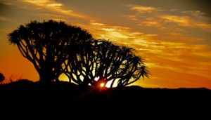 Ultimative Namibia Selbstfahrer-Safari