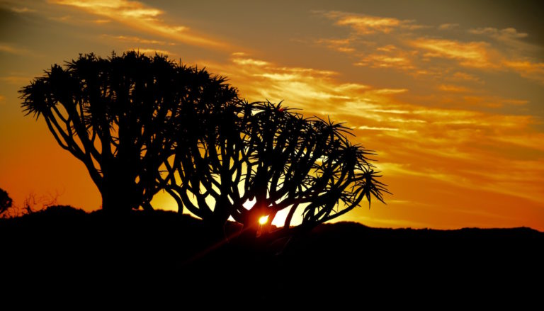 Ultimative Namibia Selbstfahrer-Safari