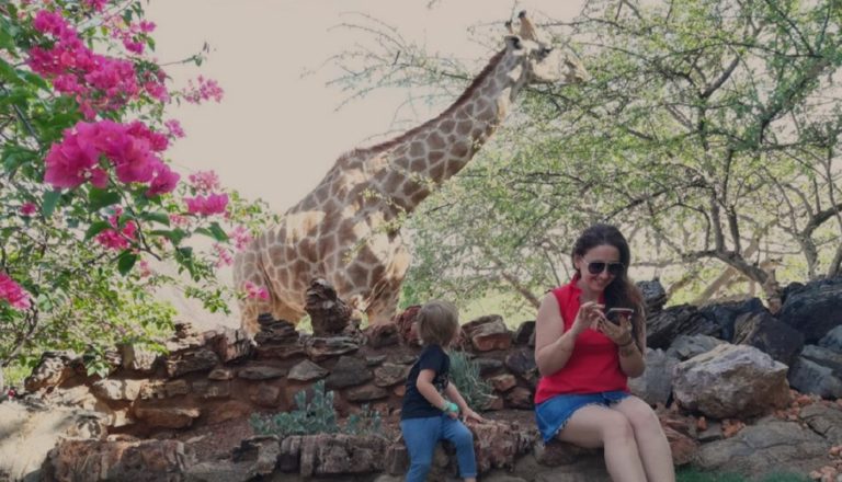 Okutala Lodge, Etosha-Nationalpark