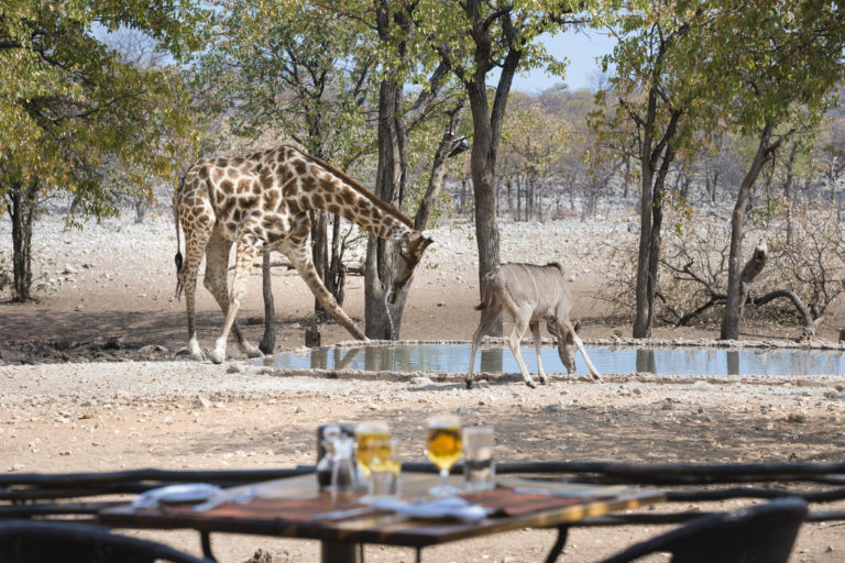 Ongava nahe dem Etosha-Nationalpark