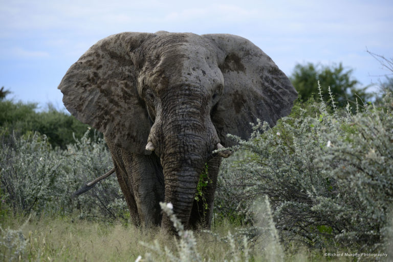 Camping in Onguma, Etosha-Nationalpark