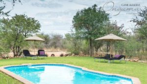 Camping im Etosha-Nationalpark vom Feinsten