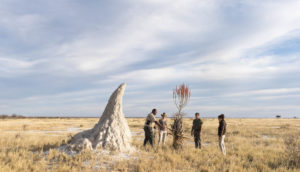 Onguma, Lodge-Fotografie, David Rogers, 2018