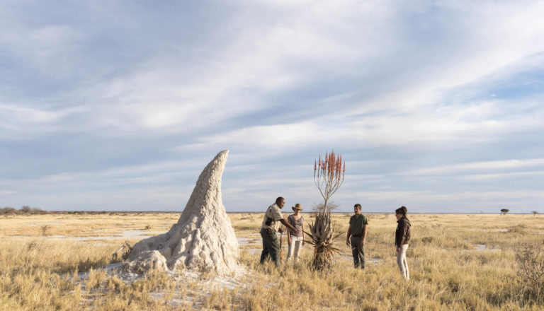 Onguma, Lodge-Fotografie, David Rogers, 2018