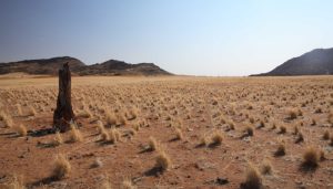 Sossusvlei