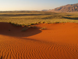 Namib-Naukluft-Nationalpark