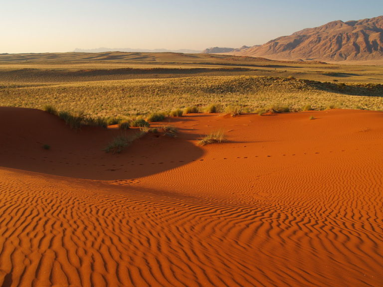 Namib-Naukluft-Nationalpark