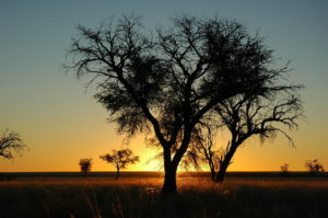 Sonnenuntergang im Namib-Naukluft-Nationalpark