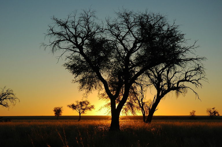 Sonnenuntergang im Namib-Naukluft-Nationalpark