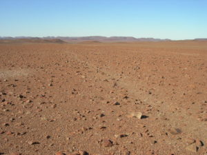 Namib und Skelettküste