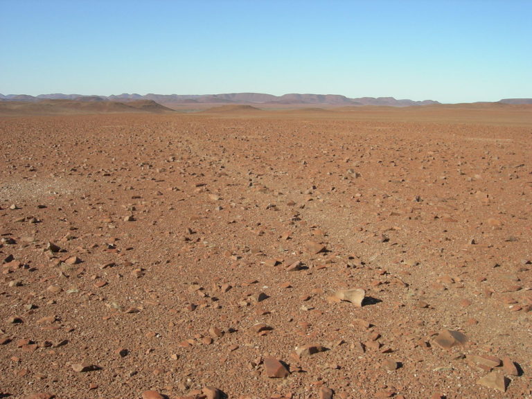 Namib und Skelettküste