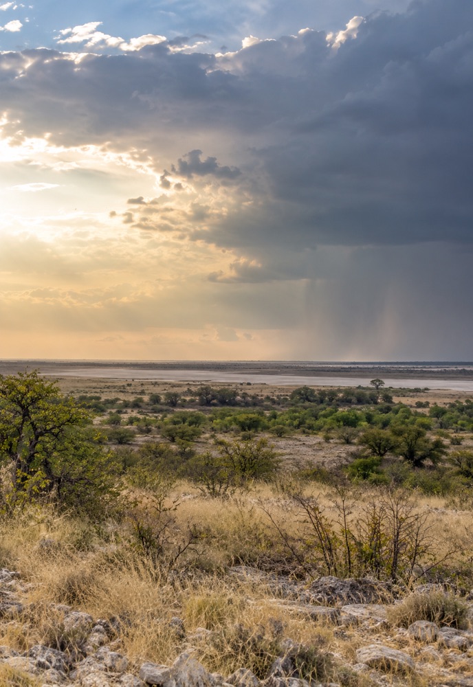 Regenwolken ziehen über die trockene Landschaft von Etosha